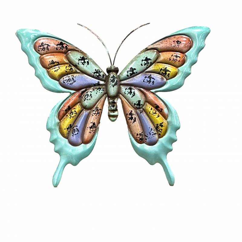 Multi Colour Butterfly