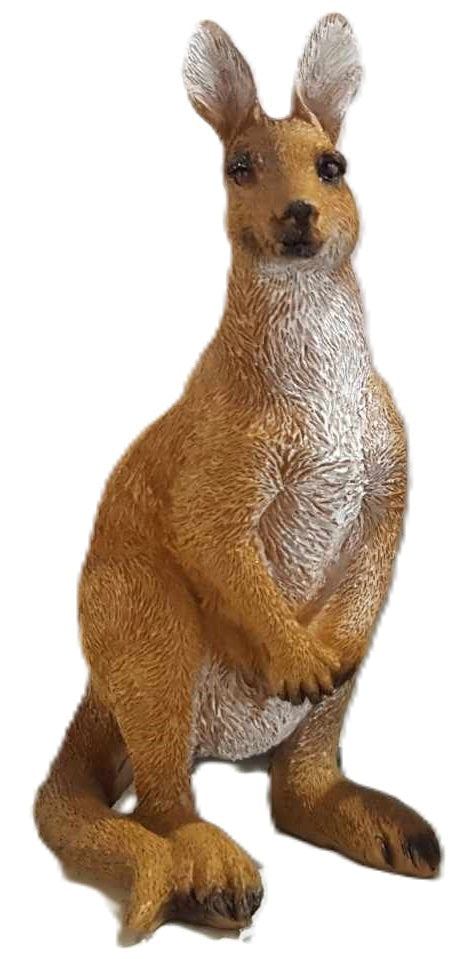 Kangaroo