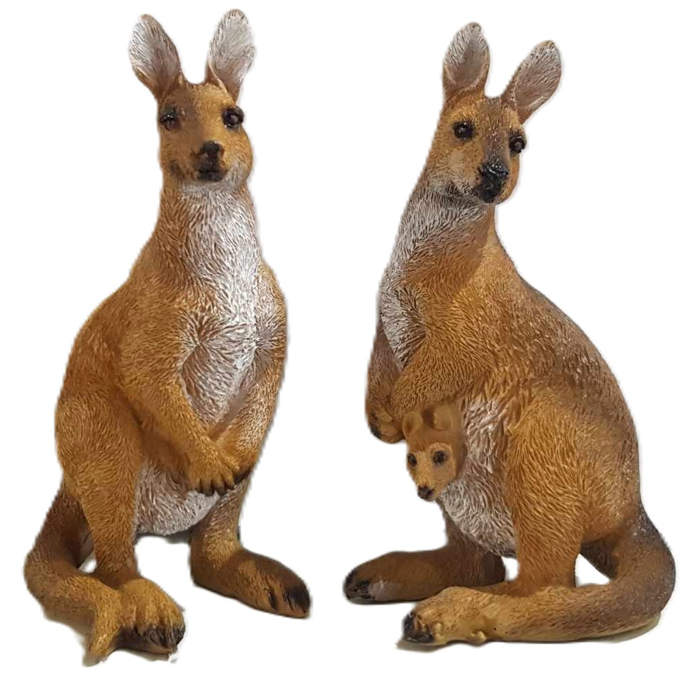 Kangaroo