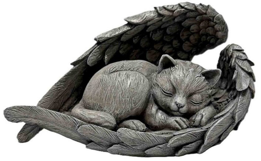 Cat Napping in Angel Wings