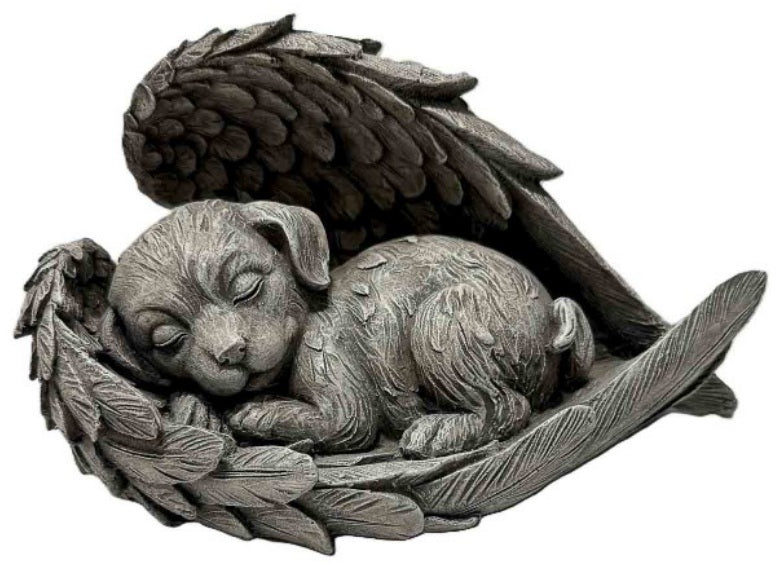 Dog Napping in Angel Wings