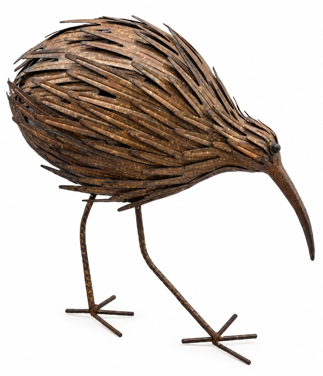 Kiwi Bird