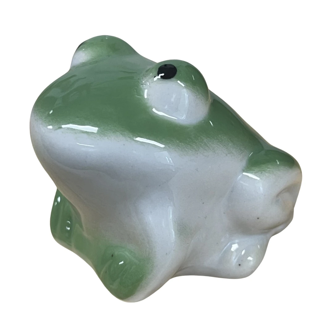Floating Green Frog