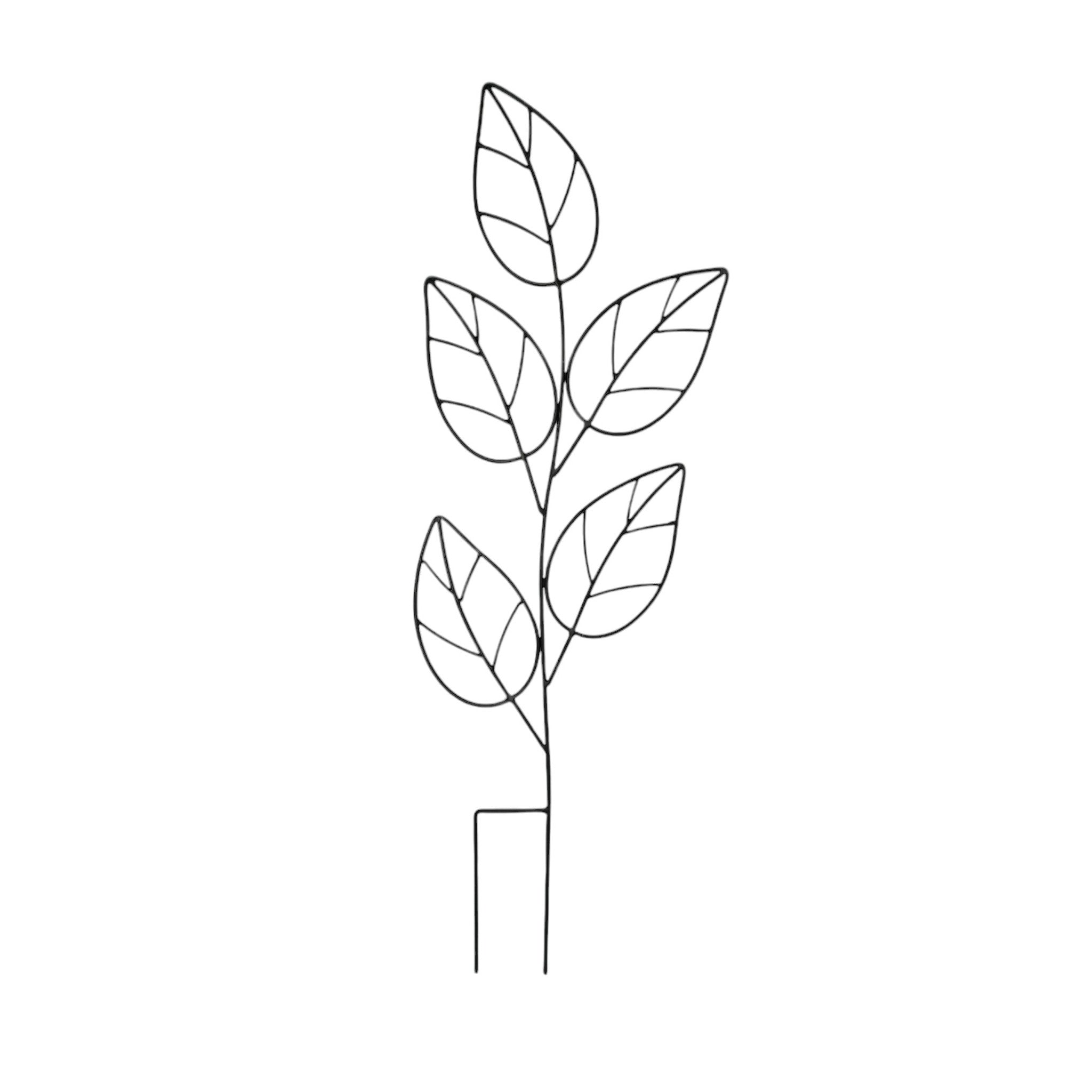 Plant Growing Frame - Leaves