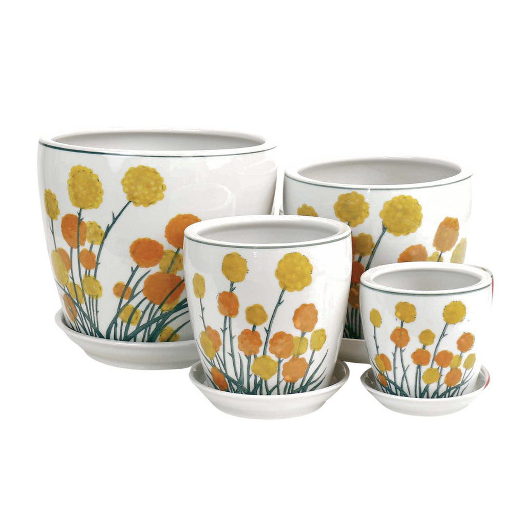 Round Ceramic Planter with Saucer - Hand-Painted Australian Billy Buttons