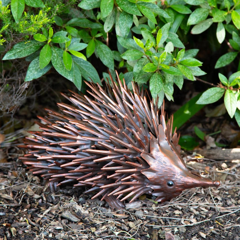 Bronze Echidna - Rustic