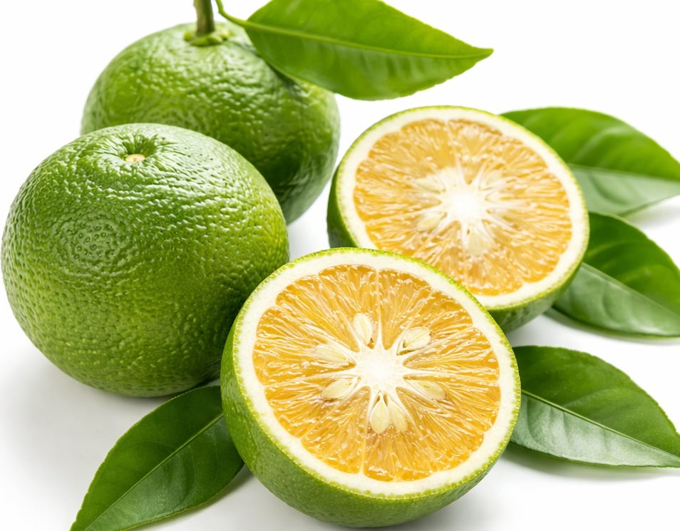 Citrus - Lime - SUDACHI