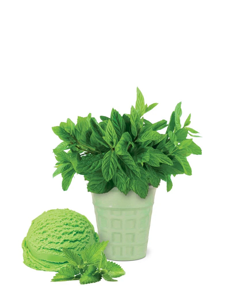 Ice Cream Flavour Grow Kit - Spearmint