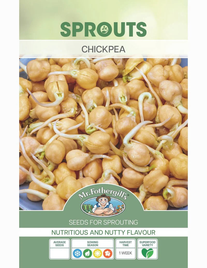 Seeds D Sprouts Alive Chickpea