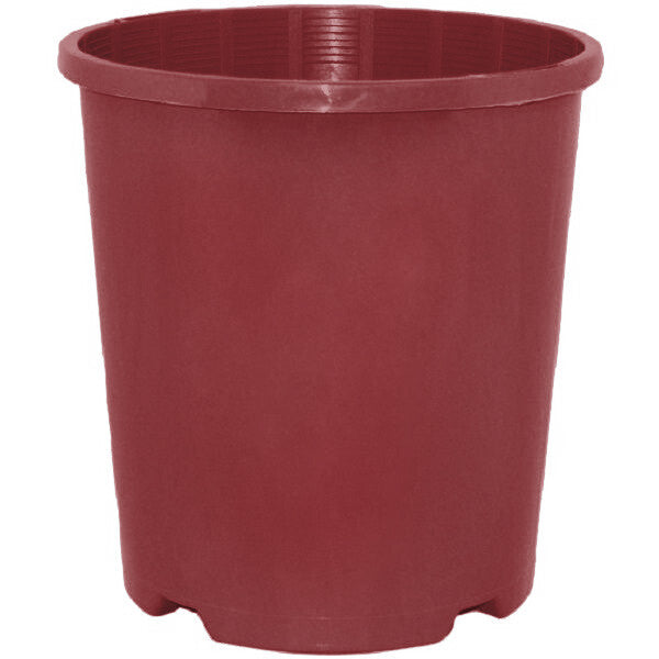 Plastic Pot Packwell Maroon