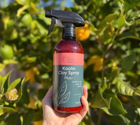 Kaolin Clay Spray