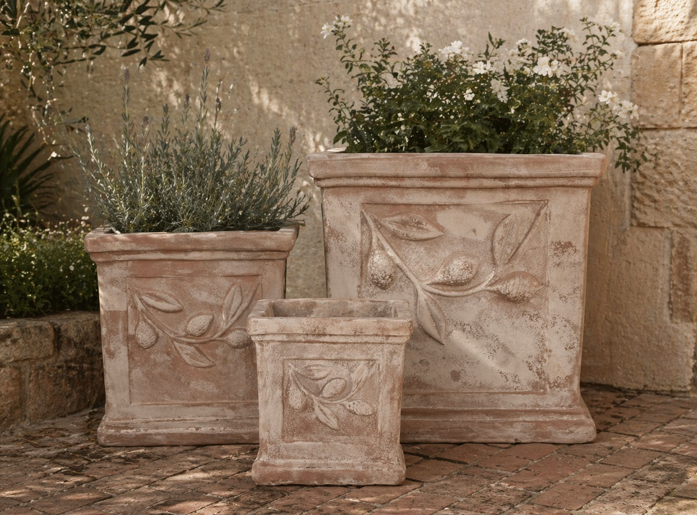 Antique Terracotta Pot - Square with Leaves