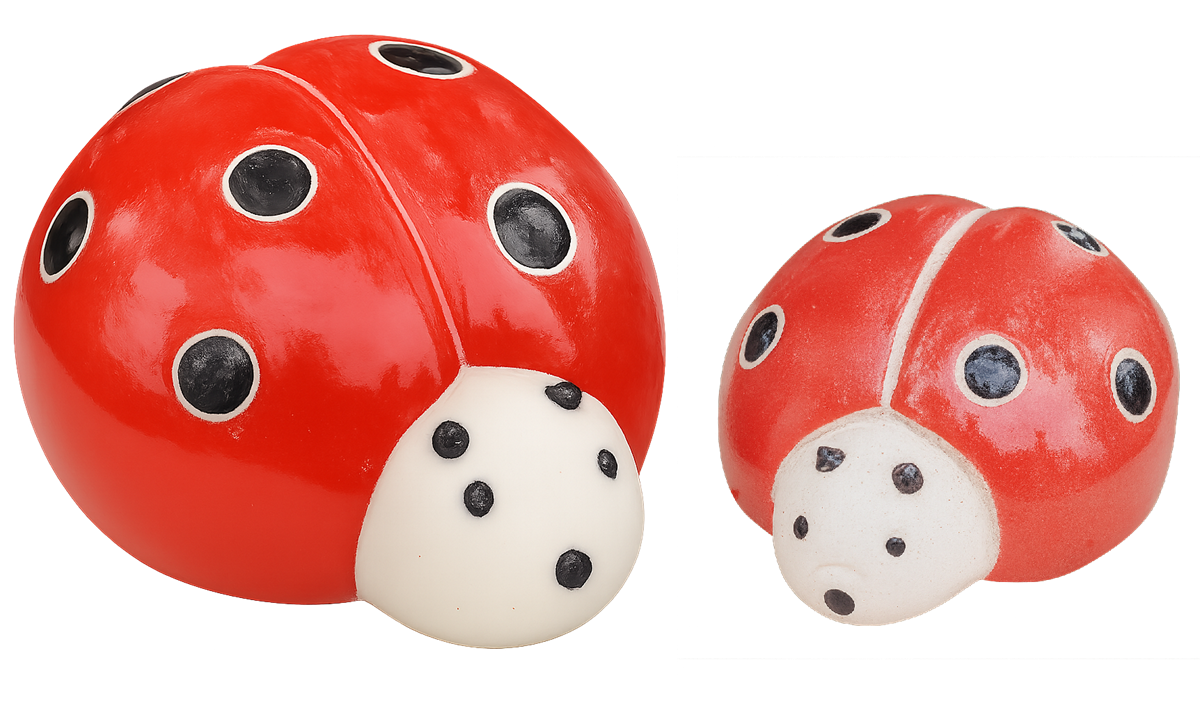 Lady Bug