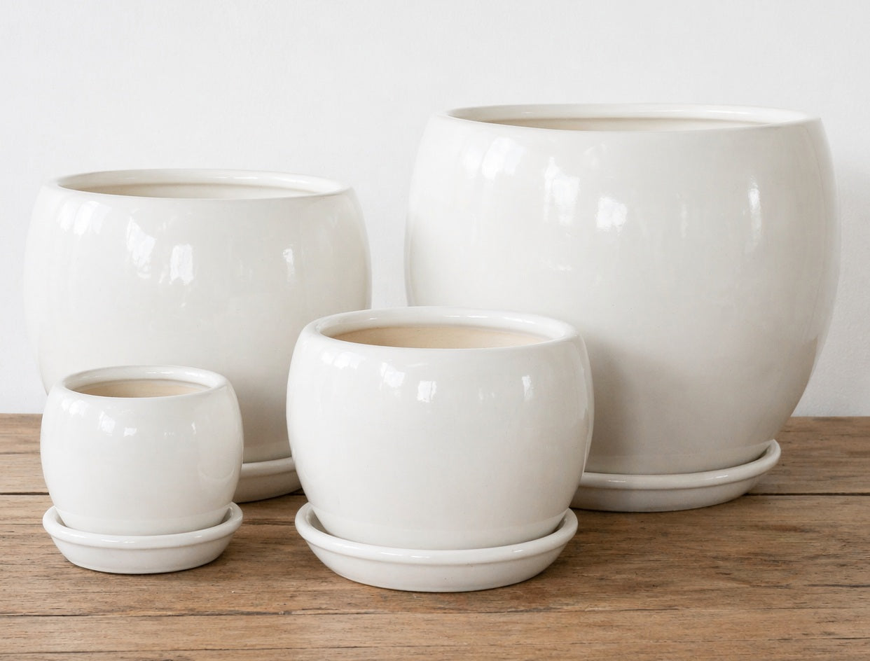 Ceramic Ball Pot with Saucer - White