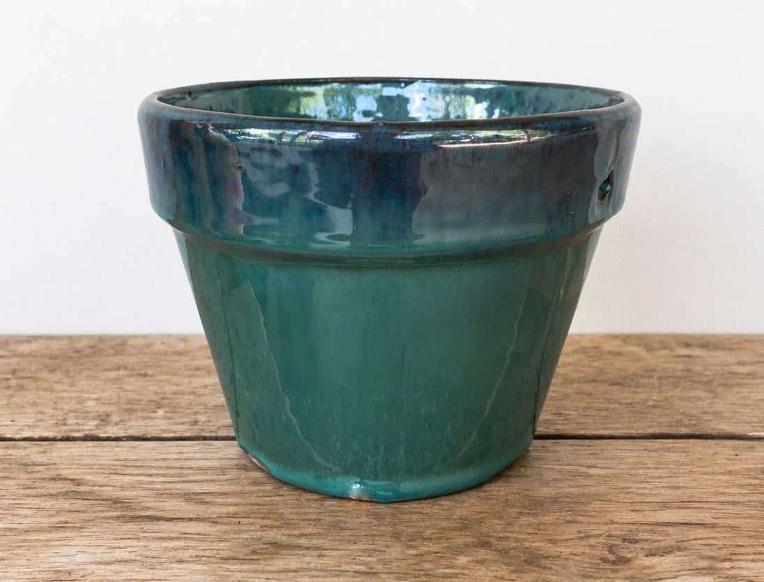 Ceramic Seedling Pot - Juicy Green