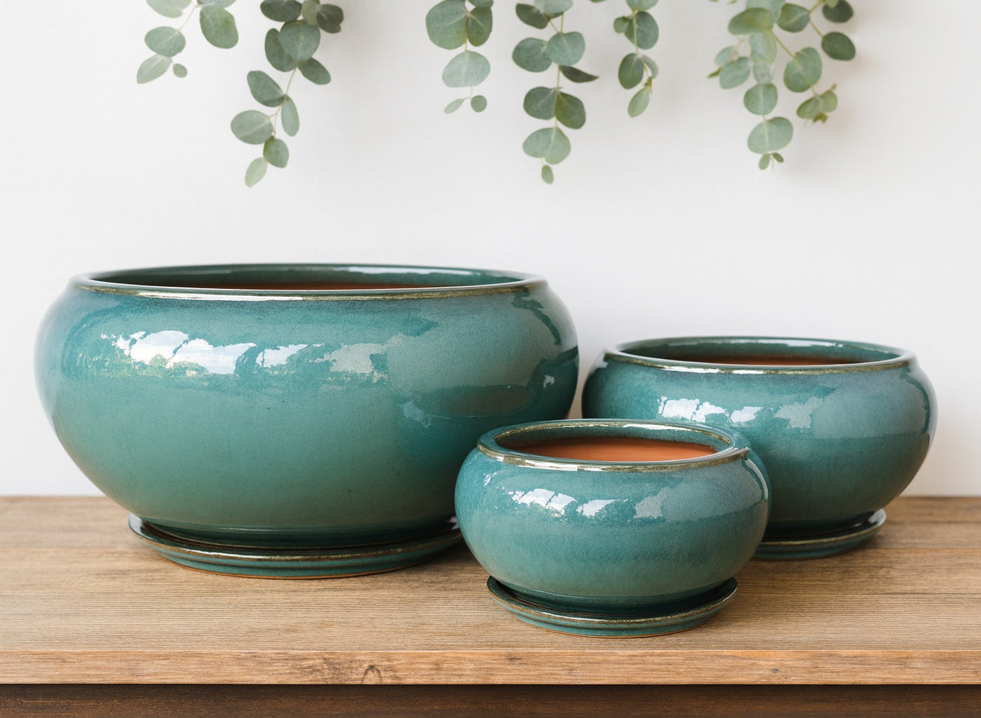 Solly Pot with Saucer - Juicy Green
