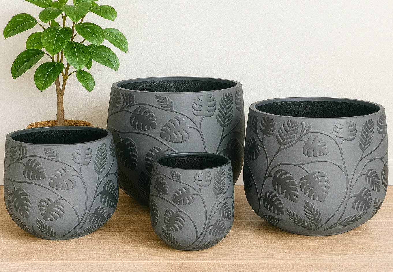 Bunge Monstera Fibreglass Pot - Dark Grey with Black Leaves