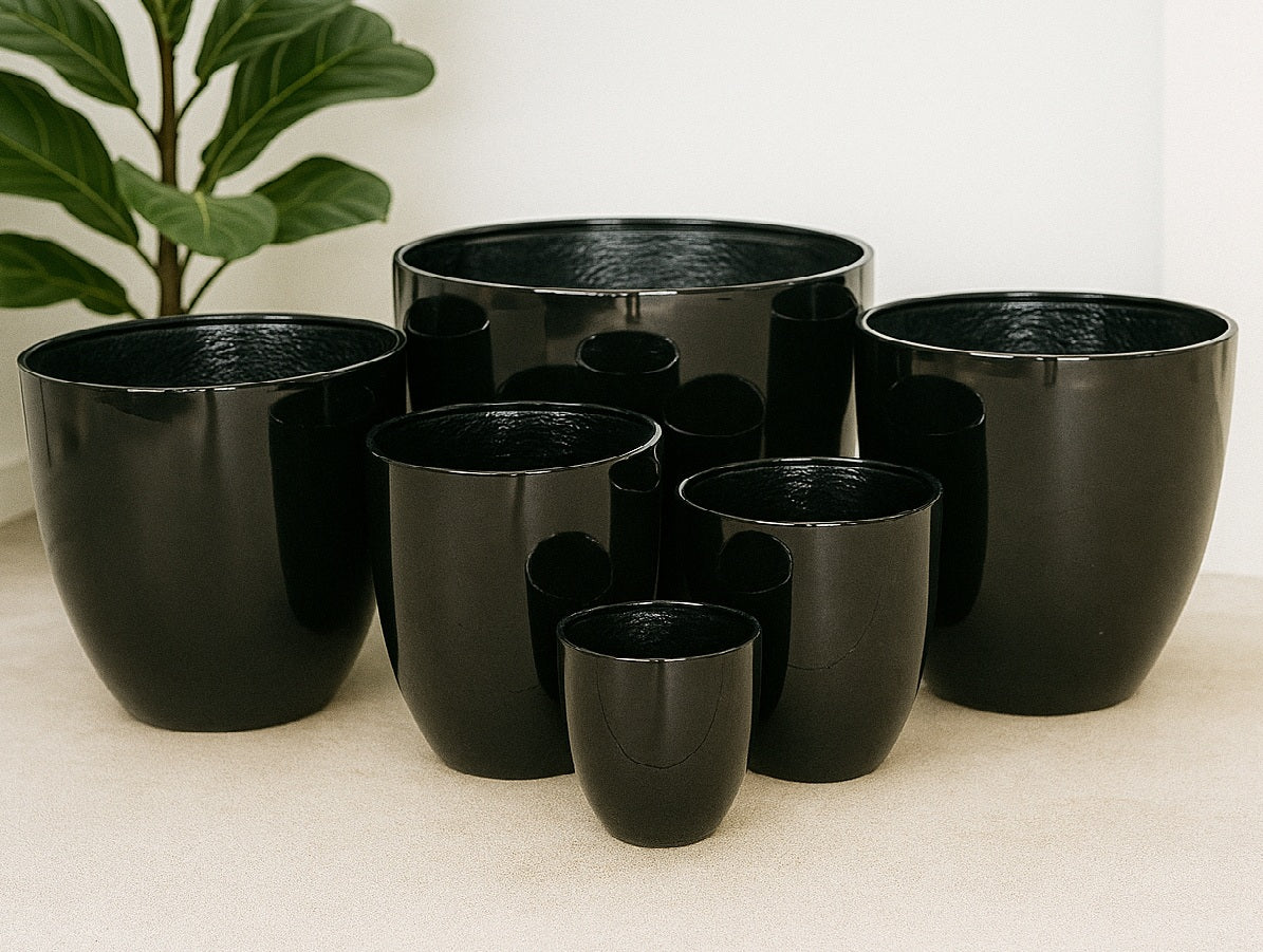 Egg Fibreglass Pot - Gloss Black