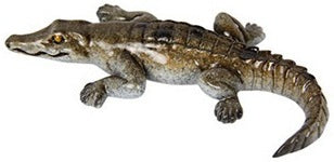 Crocodile Baby Marble