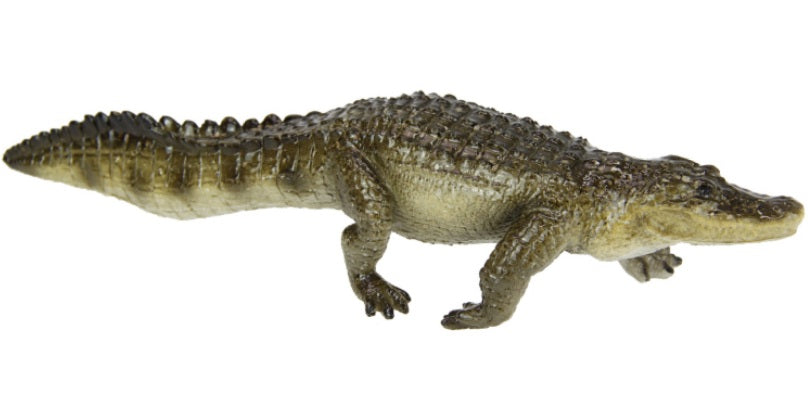 Crocodile Marble