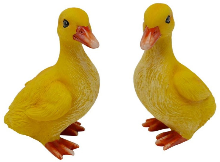 Duckling