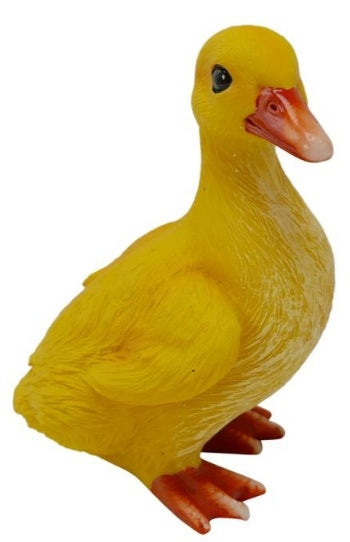 Duckling