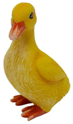 Duckling