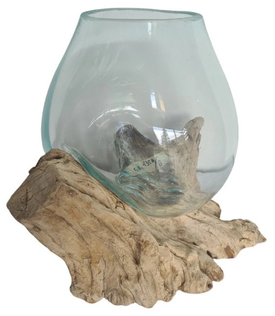 Unique Glass Terrarium on Wood