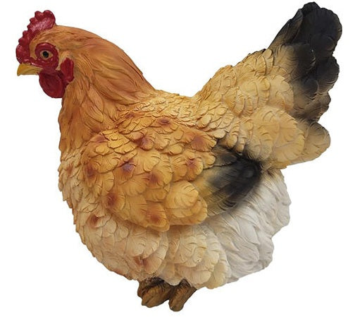 Hen Sitting Brown