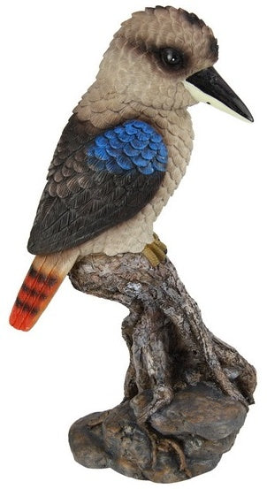 Kookaburra on Log
