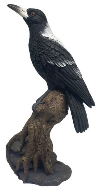 Magpie on Branch