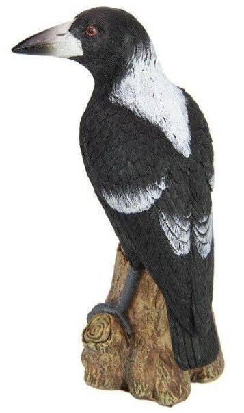 Magpie on Stump