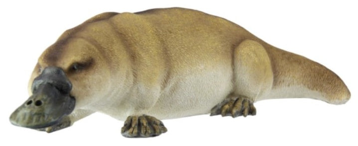 Platypus Realistic