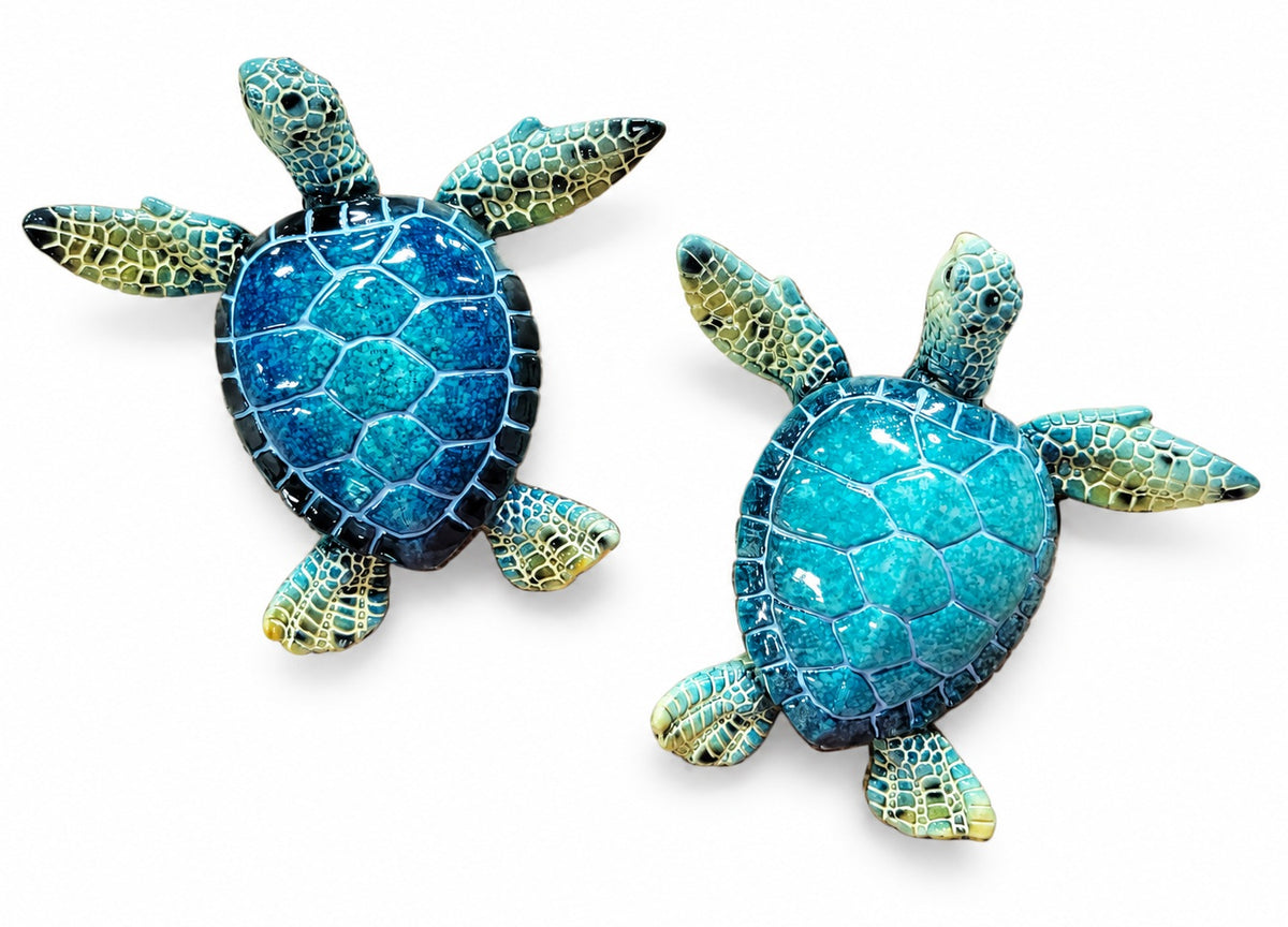 Turtle Blue Marble