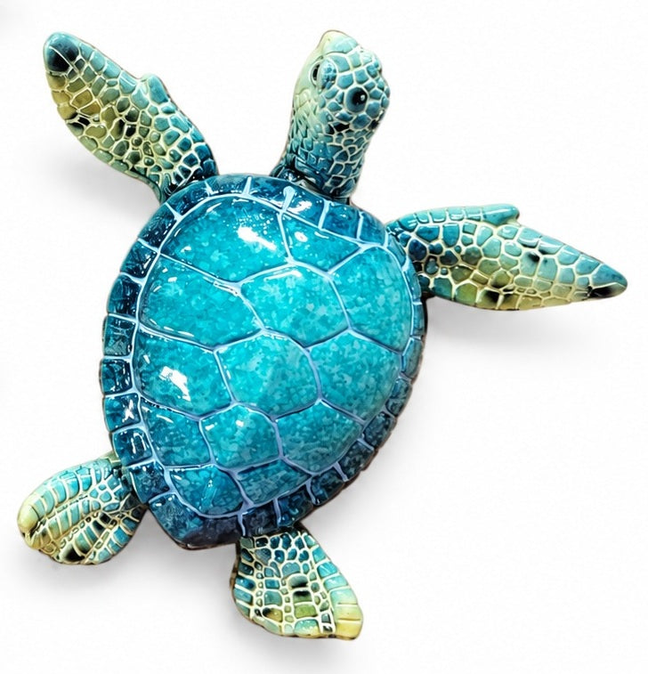 Turtle Blue Marble