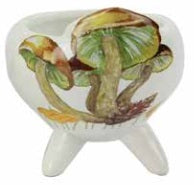 Wax Cap Mushroon Planter