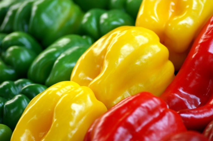 Bell Pepper - SALSA - Mixed - Capsicum annuum