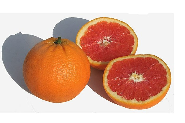 Citrus - Orange - CARA CARA BLOOD
