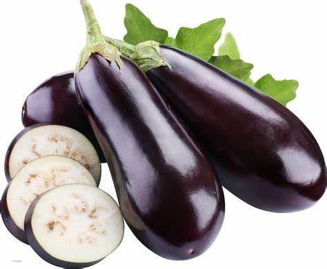 Eggplant Aubergine - Solanum melongena