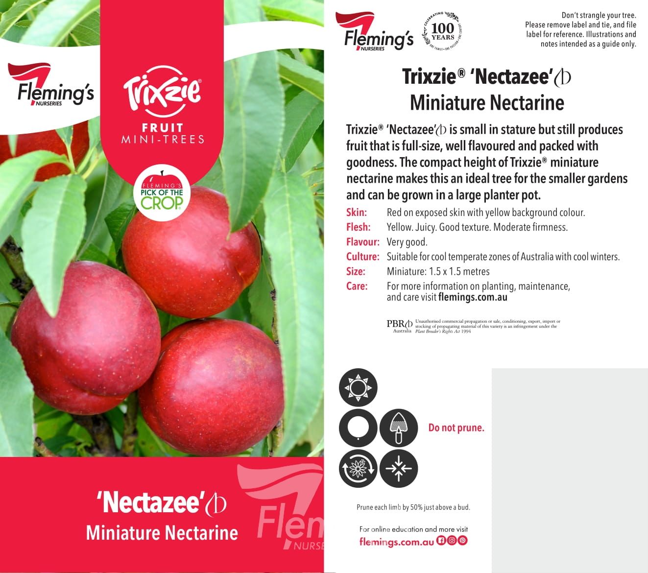 Prunus persica - Trixzie® NECTAZEE - Dwarf Nectarine