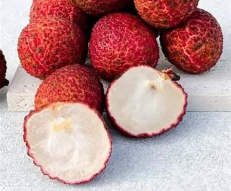 Litchi chinensis - SUE LIN SAN - Seedless Lychee