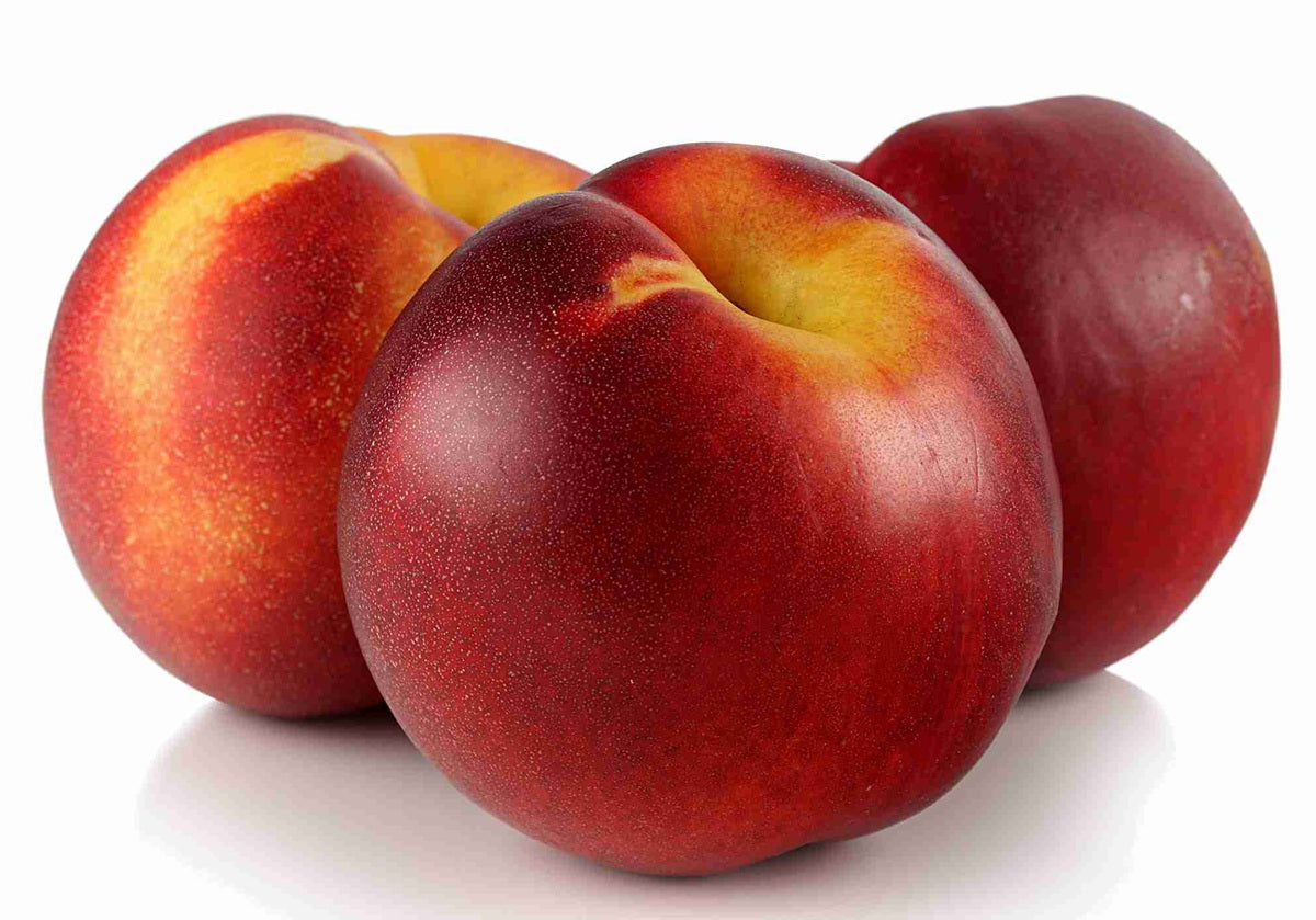 Prunus persica - SUNSET - Dwarf Nectarine