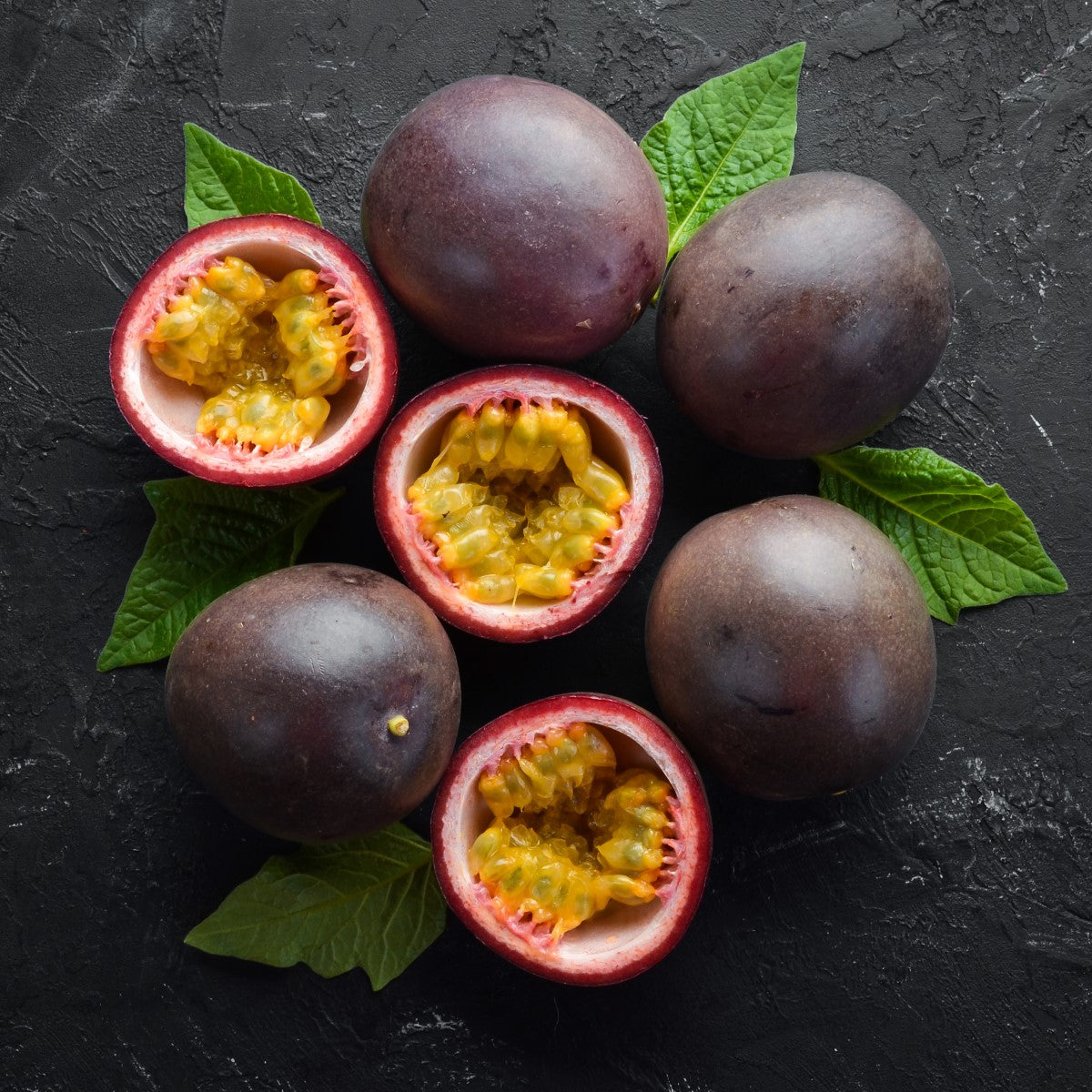 Passiflora edulis - Black Passionfruit