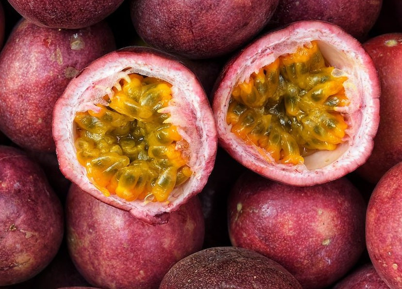 Passiflora edulis - RED FLAMENCO - Passionfruit