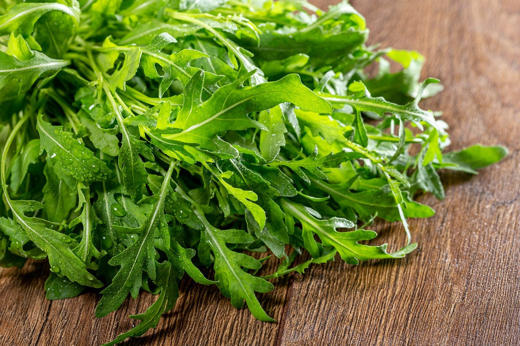 Salad Rocket - Eruca sativa
