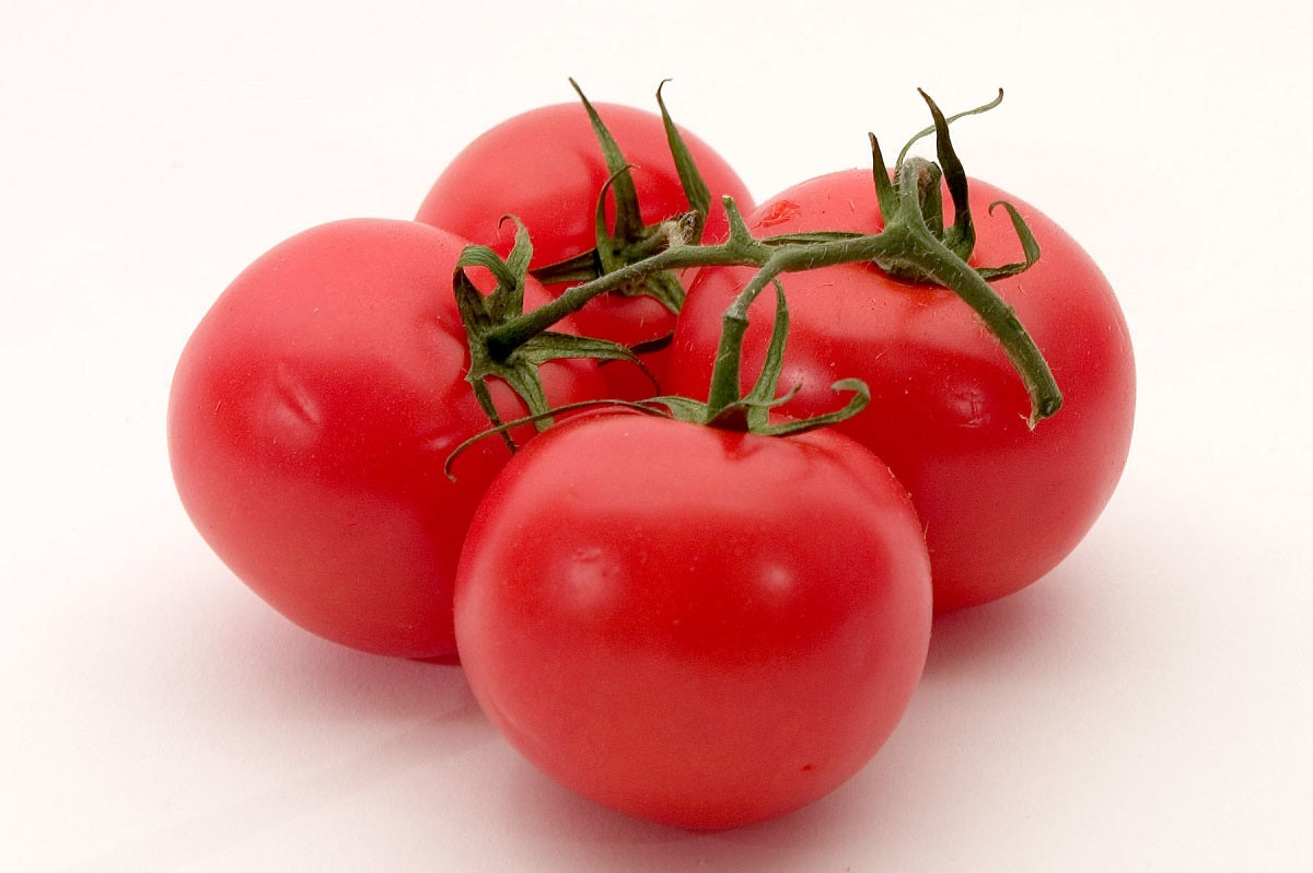 Tomato - GROSSE LISSE - Solanum lycopersicum