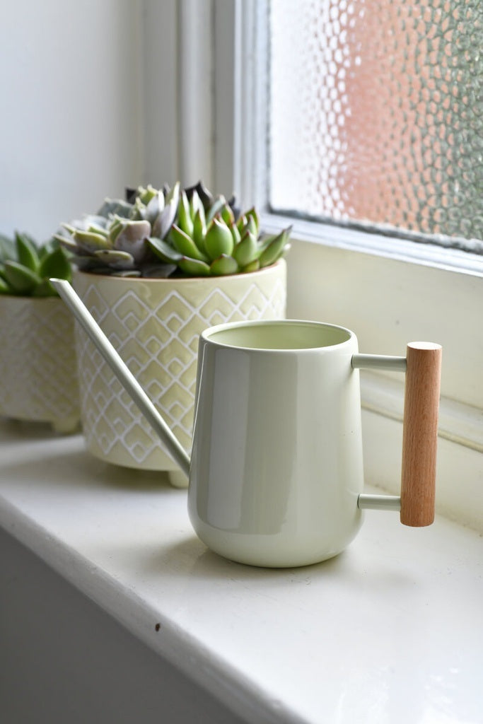 Indoor Watering Can Pale Jade
