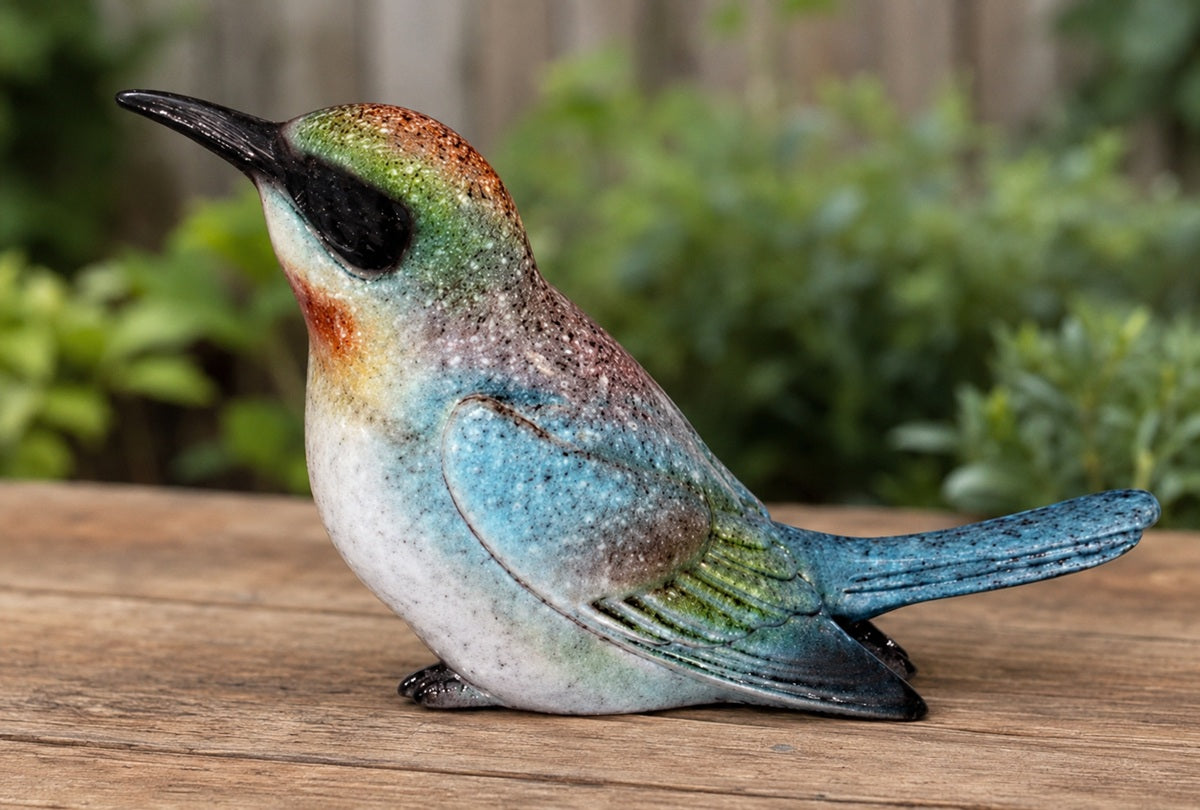 Bird - White Belly