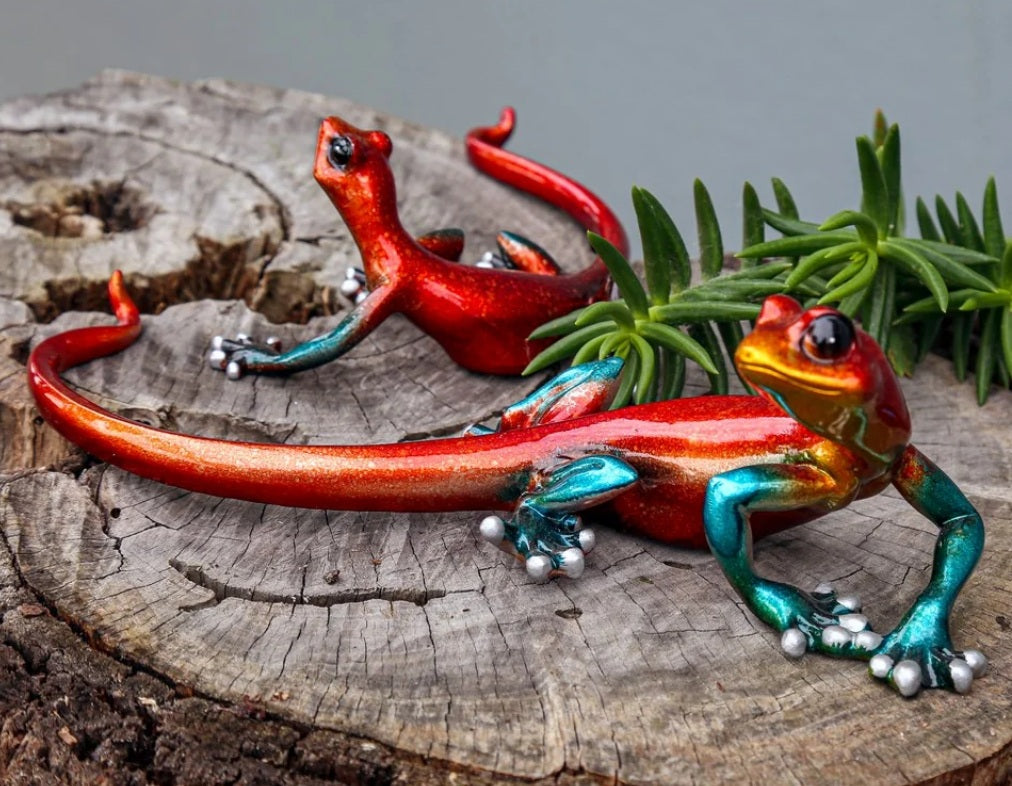 Gecko - Multicolour