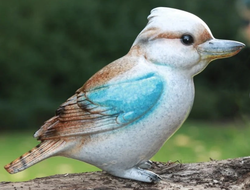 Kooka - Natural